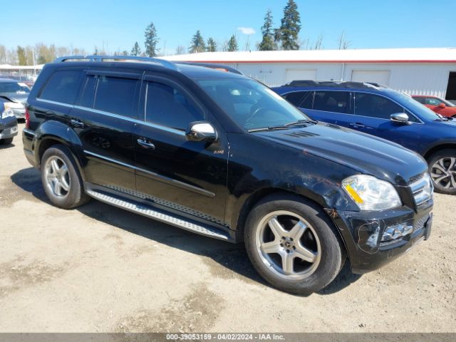 MERCEDES-BENZ GL 450 2010 4jgbf7be2aa542278