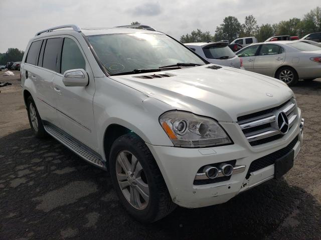 MERCEDES-BENZ GL 450 4MA 2010 4jgbf7be3aa608157