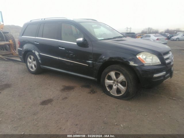 MERCEDES-BENZ GL 450 2010 4jgbf7be5aa617362