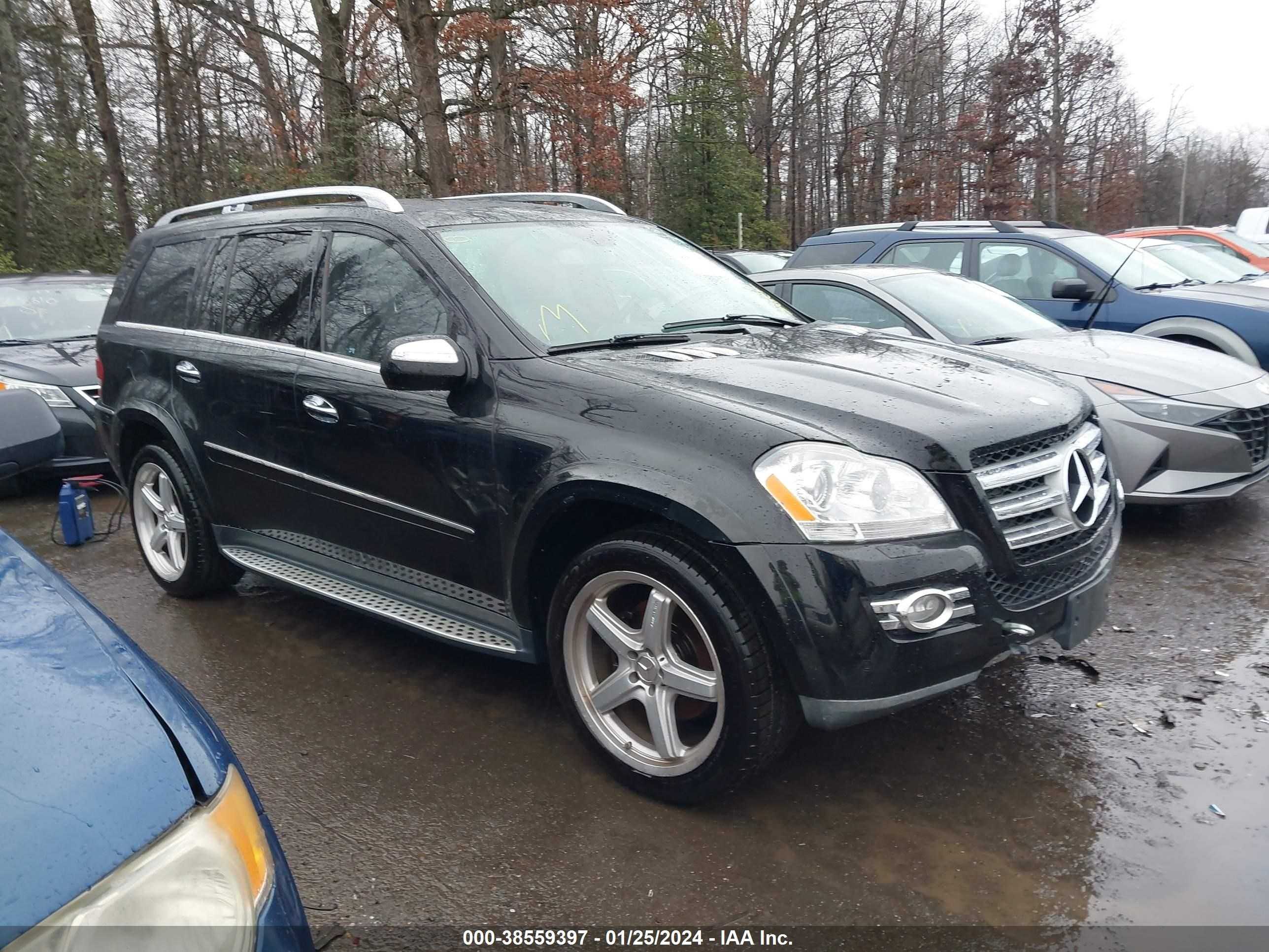 MERCEDES-BENZ GL-KLASSE 2009 4jgbf86e19a493120