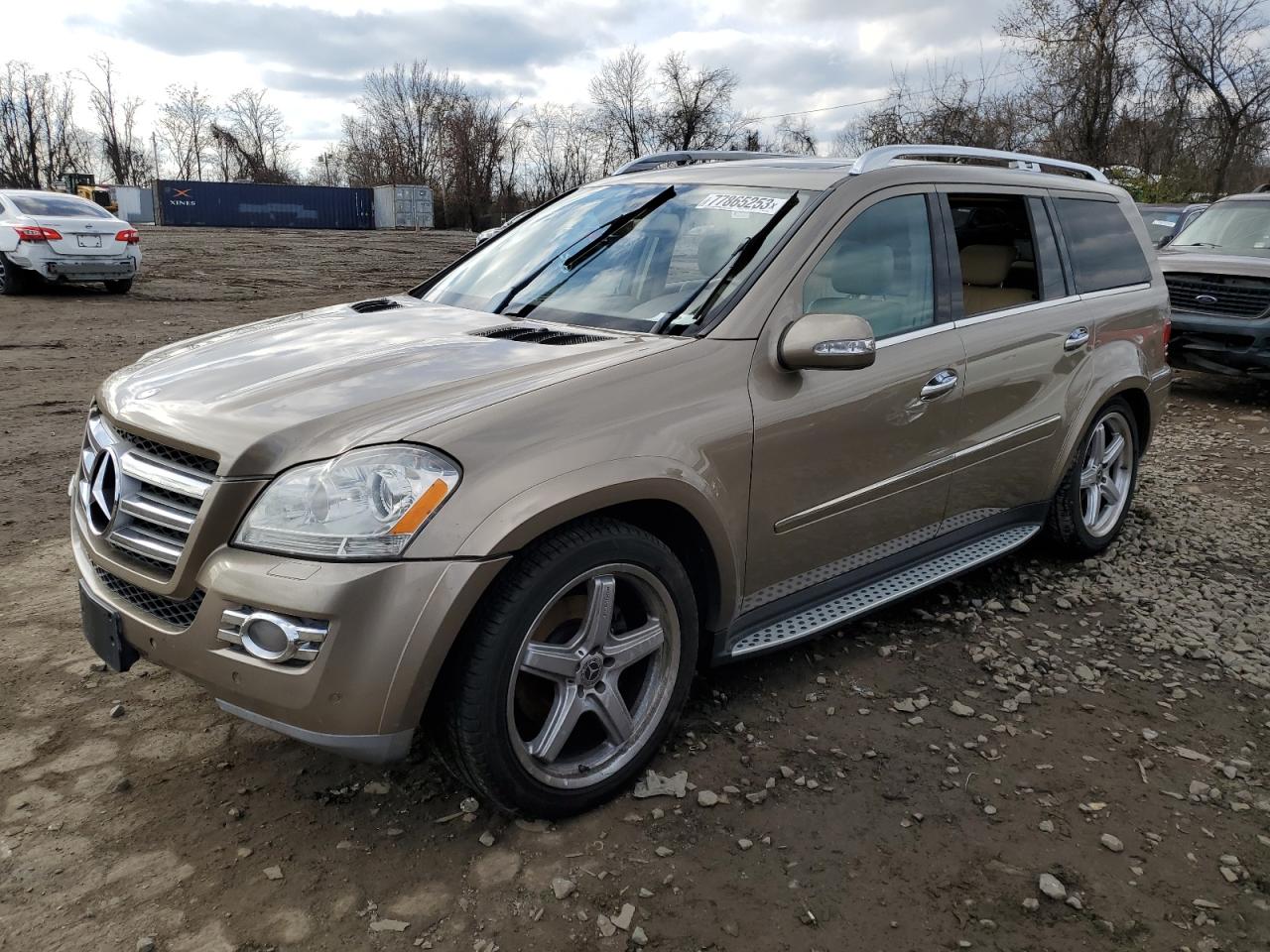 MERCEDES-BENZ GL-KLASSE 2008 4jgbf86e38a420054