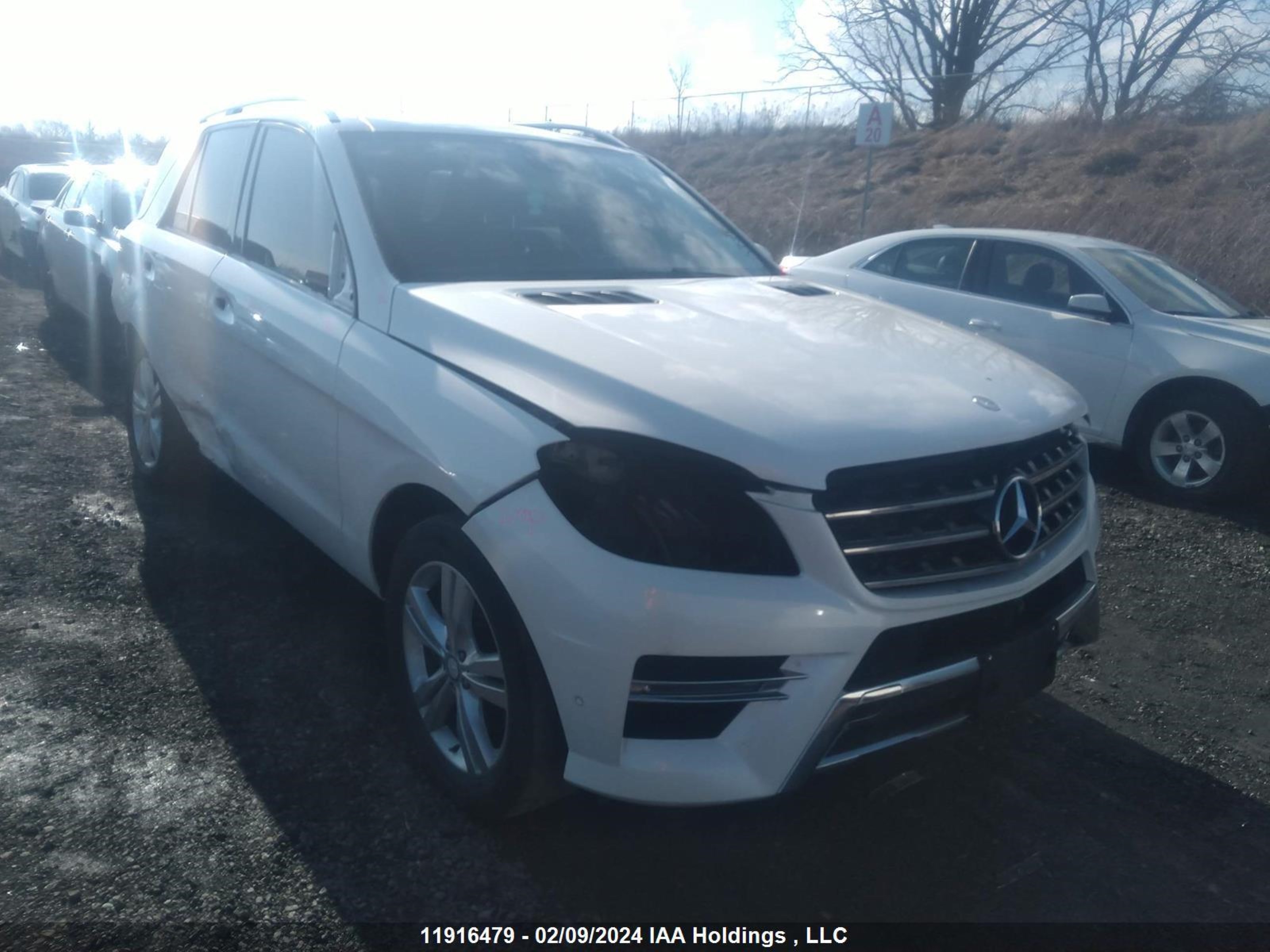 MERCEDES-BENZ M-KLASSE 2014 4jgda2eb0ea413778