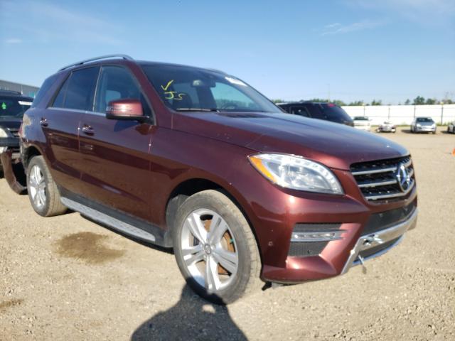 MERCEDES-BENZ ML 350 BLU 2014 4jgda2eb6ea388773