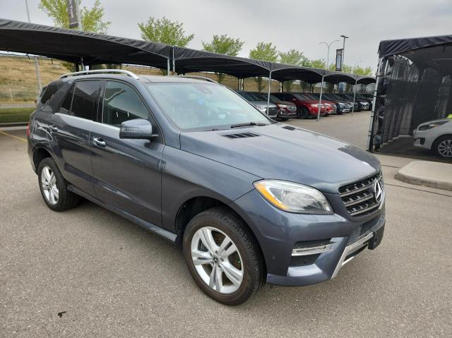 MERCEDES-BENZ ML 350 BLU 2013 4jgda2eb8da135923