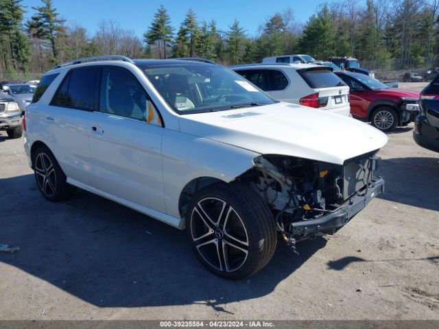 MERCEDES-BENZ AMG GLE 43 2019 4jgda6eb9kb187642