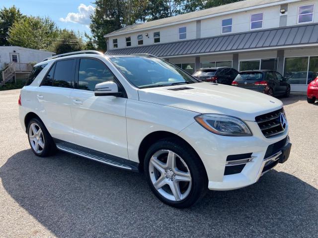 MERCEDES-BENZ M-CLASS 2014 4jgda7db2ea290810