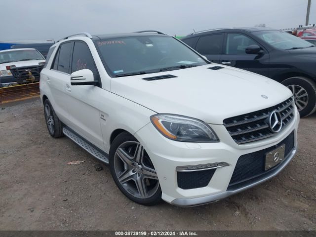 MERCEDES-BENZ ML 63 AMG 2014 4jgda7eb3ea359213