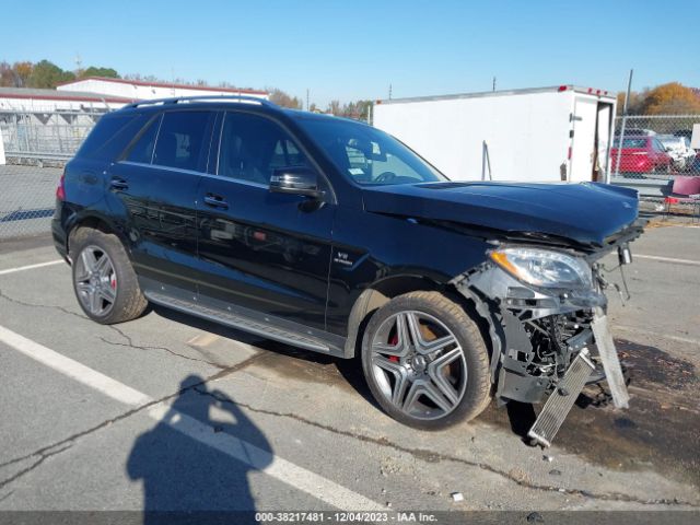 MERCEDES-BENZ ML 63 AMG 2014 4jgda7eb7ea343838