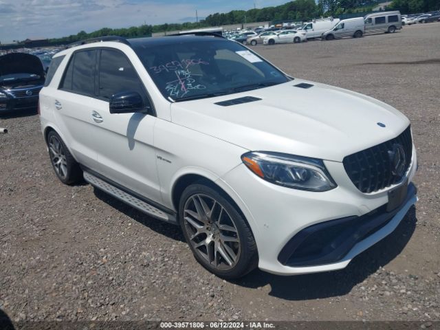 MERCEDES-BENZ GLE-CLASS 2017 4jgda7fb4ha836668