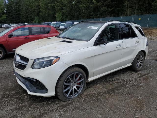 MERCEDES-BENZ GLE-CLASS 2018 4jgda7fbxjb148111