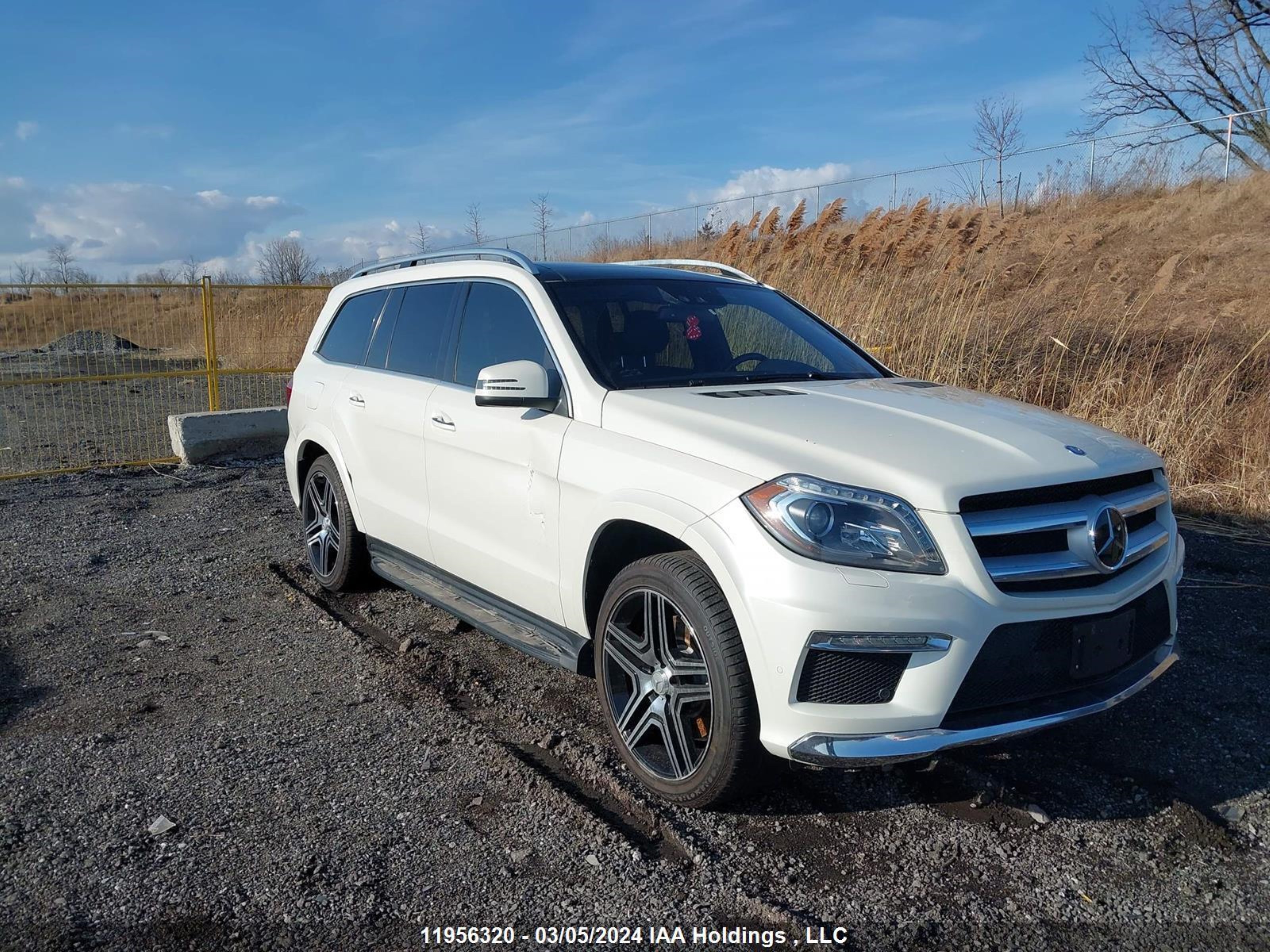 MERCEDES-BENZ GL-KLASSE 2013 4jgdf2ee2da135525