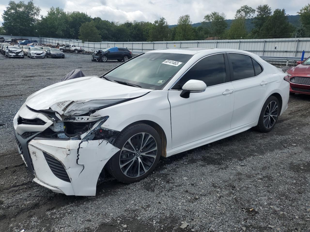 TOYOTA CAMRY 2019 4t1b11hk0ku162820