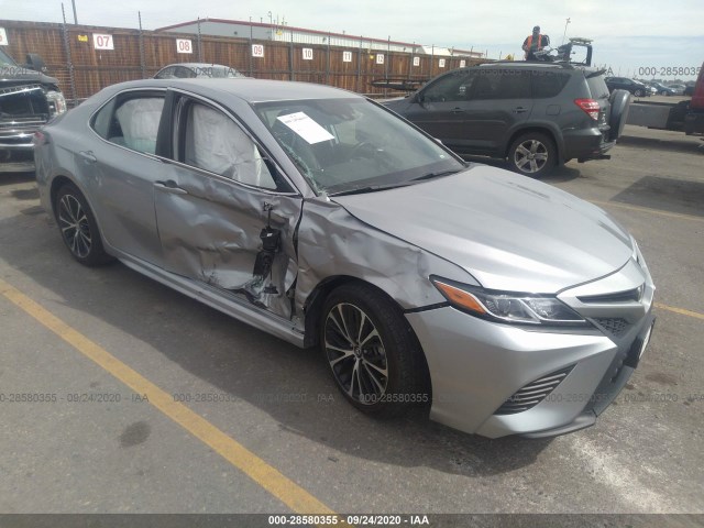 TOYOTA CAMRY 2019 4t1b11hk0ku168245