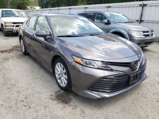 TOYOTA CAMRY L 2019 4t1b11hk0ku170450