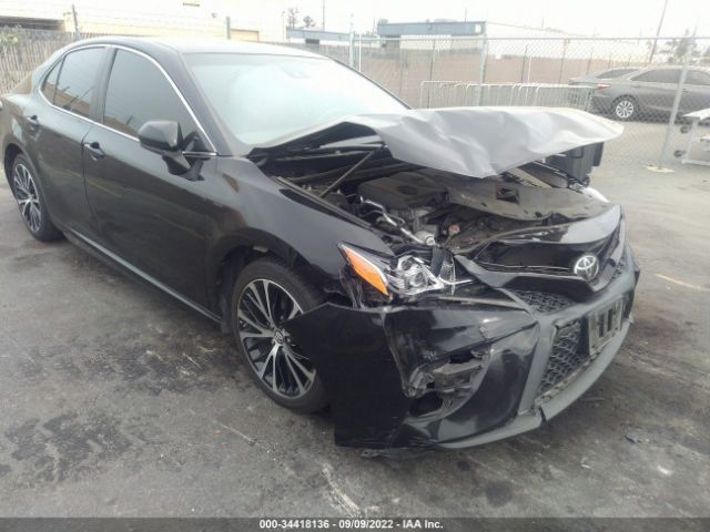 TOYOTA CAMRY 2019 4t1b11hk0ku179410