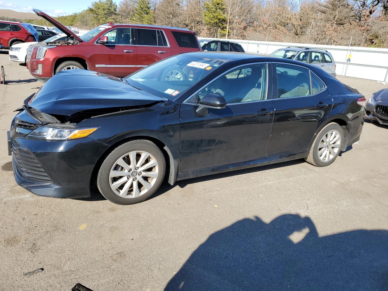 TOYOTA CAMRY 2019 4t1b11hk0ku226435