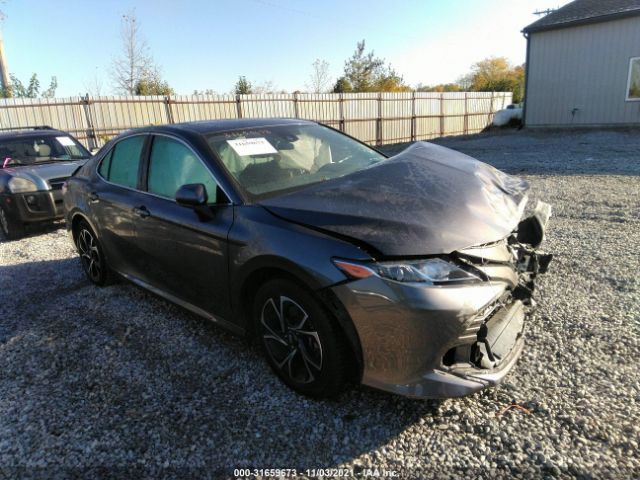 TOYOTA CAMRY 2019 4t1b11hk0ku254509