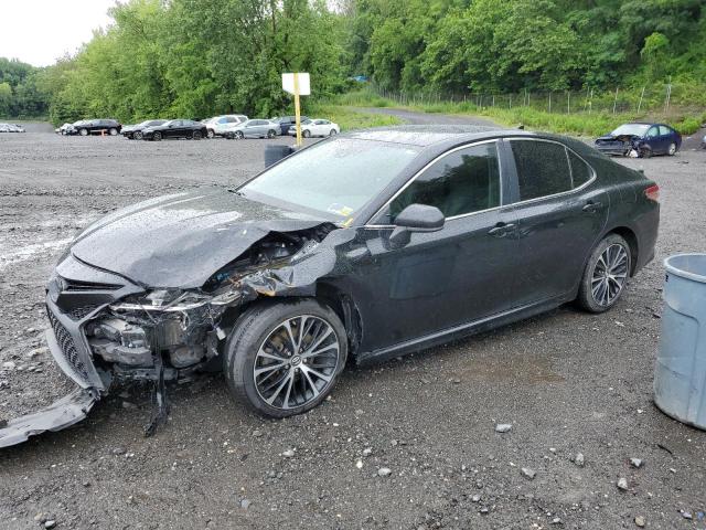 TOYOTA CAMRY L 2019 4t1b11hk0ku274436