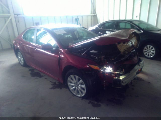 TOYOTA CAMRY 2019 4t1b11hk0ku291124