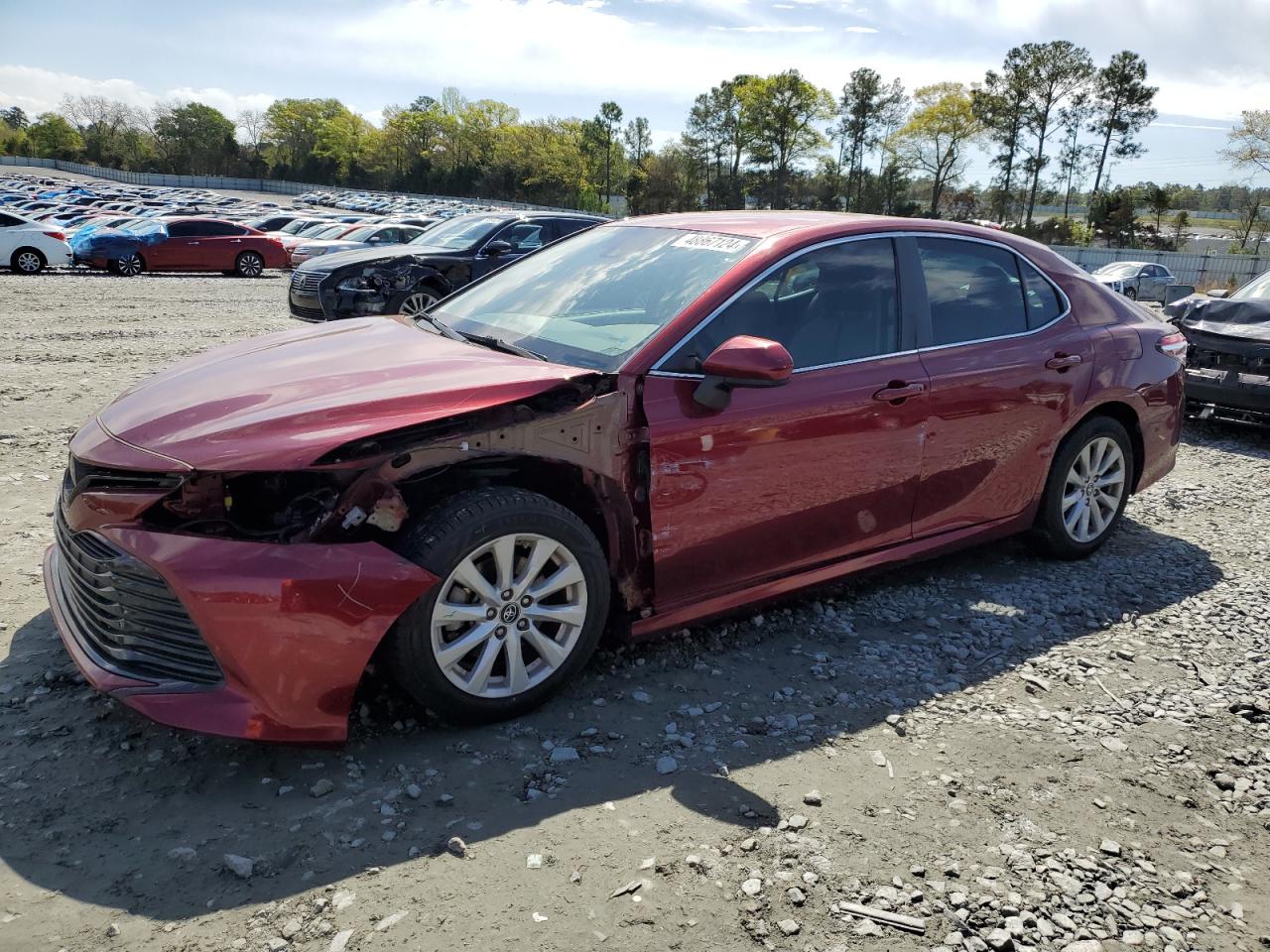 TOYOTA CAMRY 2019 4t1b11hk0ku718236