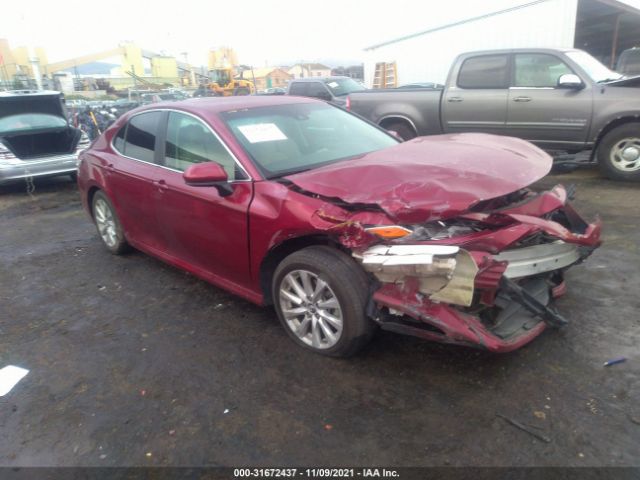 TOYOTA CAMRY 2019 4t1b11hk0ku727891