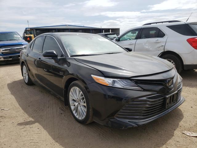 TOYOTA CAMRY L 2019 4t1b11hk0ku741001