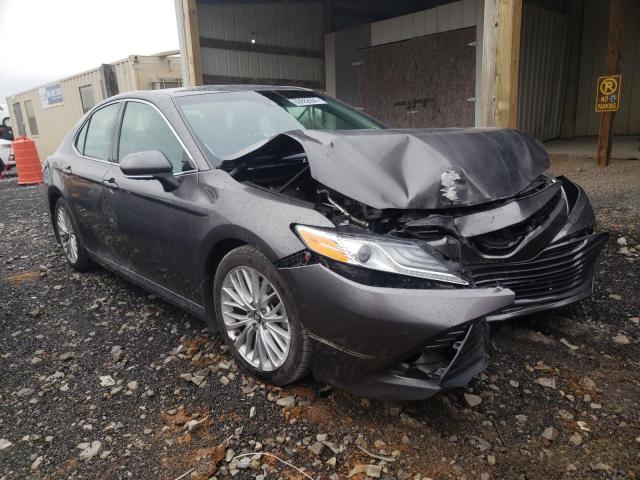 TOYOTA CAMRY L 2019 4t1b11hk0ku764679