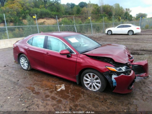 TOYOTA CAMRY 2019 4t1b11hk0ku764813