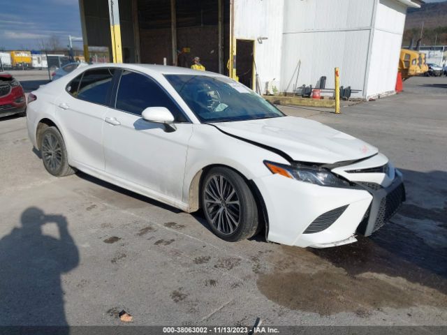 TOYOTA CAMRY 2019 4t1b11hk0ku768053