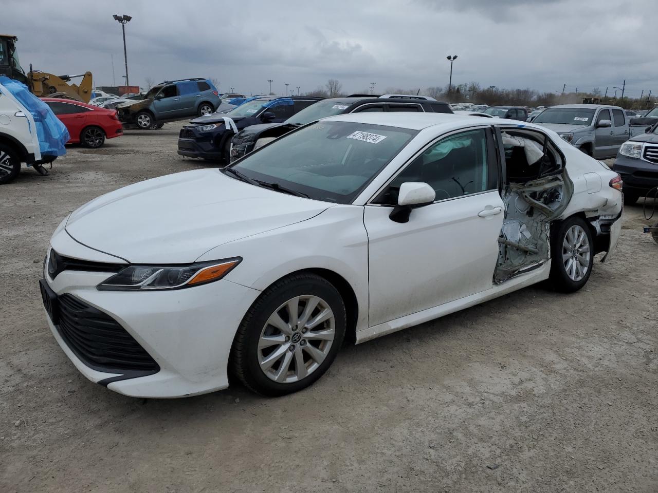 TOYOTA CAMRY 2019 4t1b11hk0ku774385