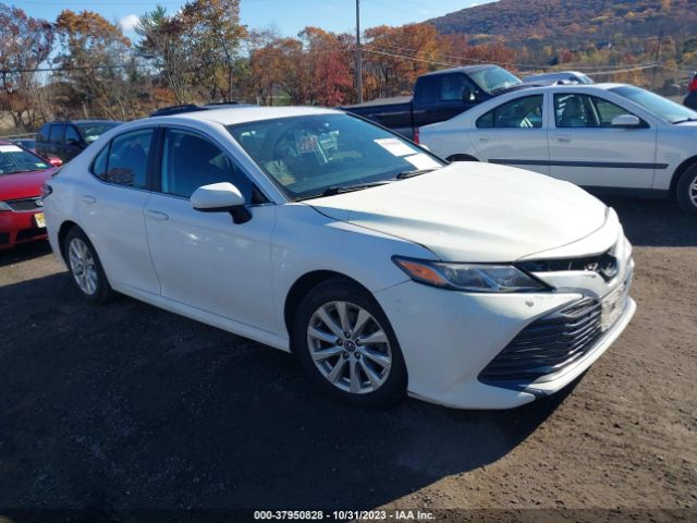 TOYOTA CAMRY 2019 4t1b11hk0ku791428