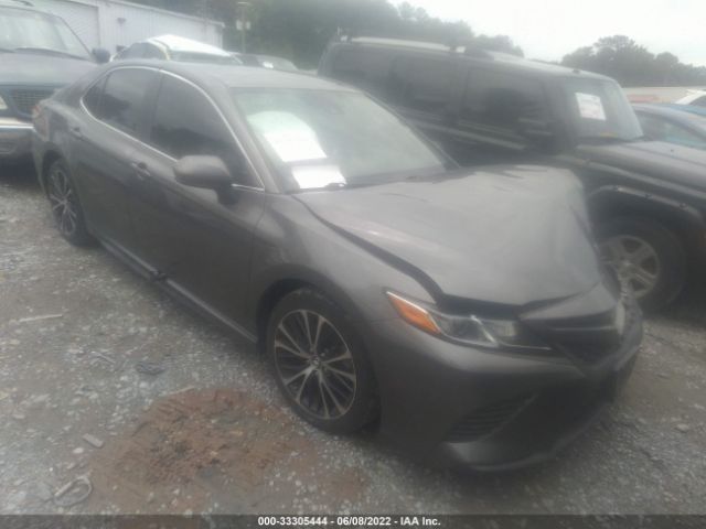 TOYOTA CAMRY 2019 4t1b11hk0ku797813