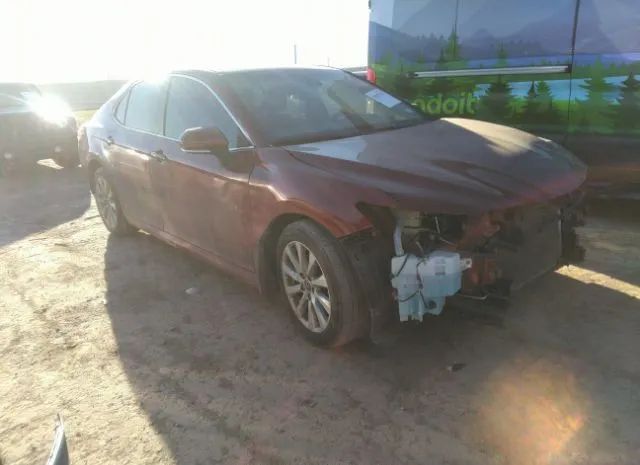 TOYOTA CAMRY 2019 4t1b11hk0ku802105