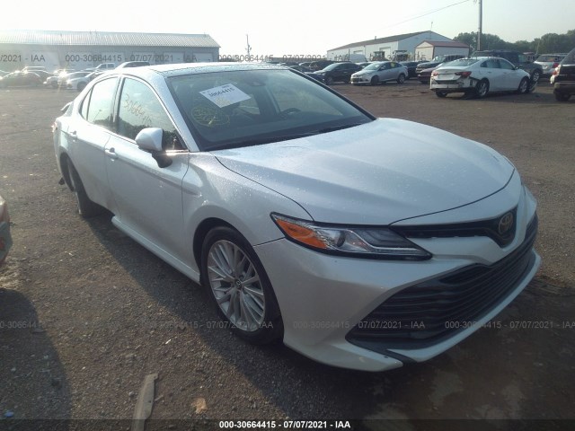 TOYOTA CAMRY 2019 4t1b11hk0ku809152