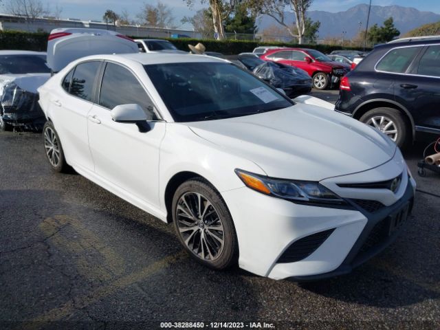 TOYOTA CAMRY 2019 4t1b11hk0ku854561