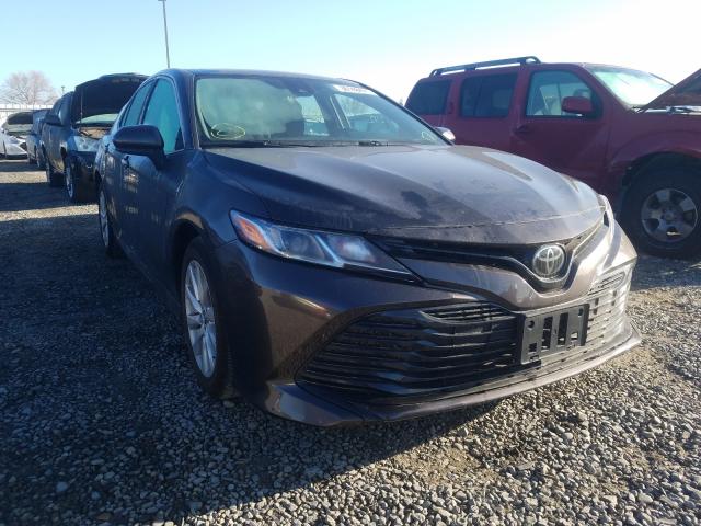 TOYOTA CAMRY L 2019 4t1b11hk0ku855287