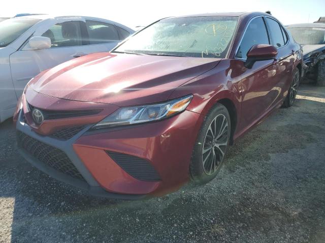 TOYOTA CAMRY L 2018 4t1b11hk1ju520540