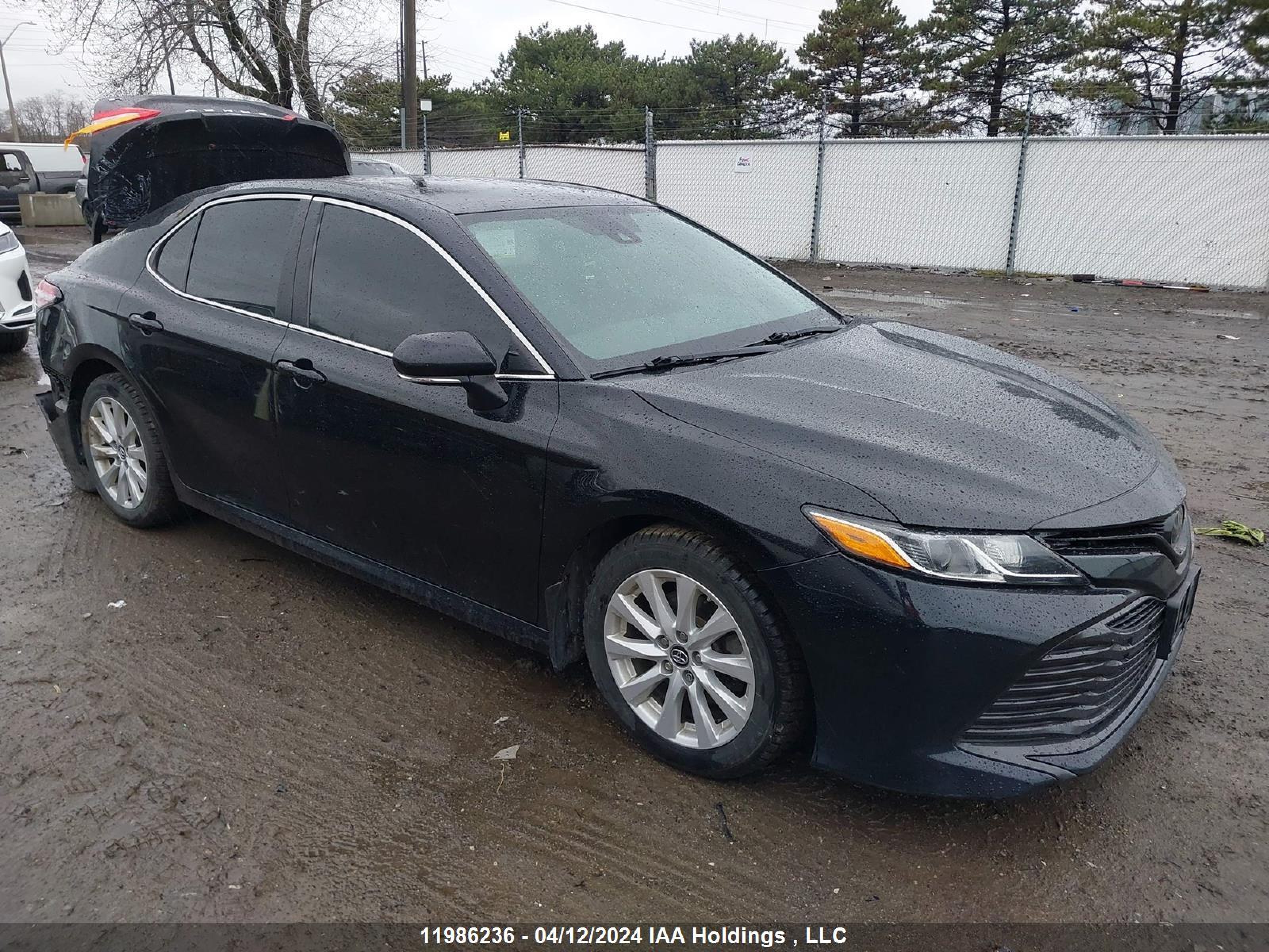 TOYOTA CAMRY 2019 4t1b11hk1ku165421