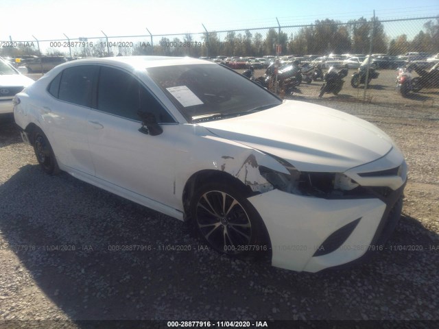 TOYOTA CAMRY 2019 4t1b11hk1ku165435