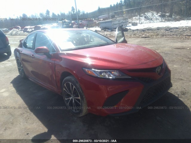 TOYOTA CAMRY 2019 4t1b11hk1ku170229