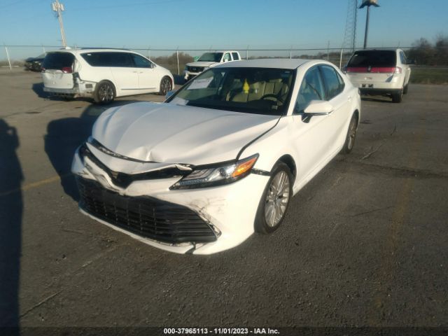 TOYOTA CAMRY 2019 4t1b11hk1ku209191