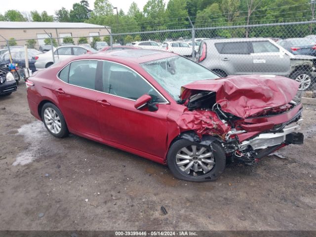 TOYOTA CAMRY 2019 4t1b11hk1ku250162