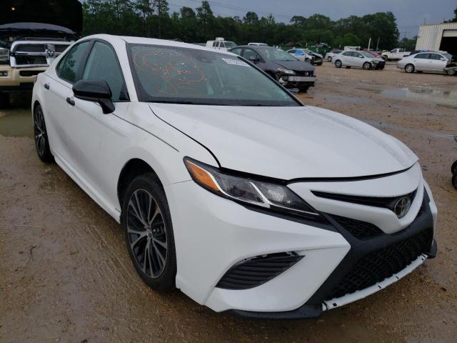 TOYOTA CAMRY L 2019 4t1b11hk1ku254194