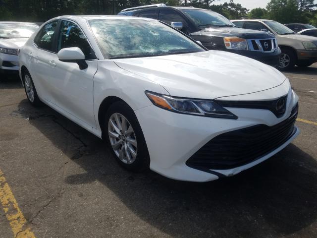 TOYOTA CAMRY L 2019 4t1b11hk1ku257497