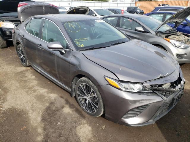 TOYOTA CAMRY L 2019 4t1b11hk1ku691032