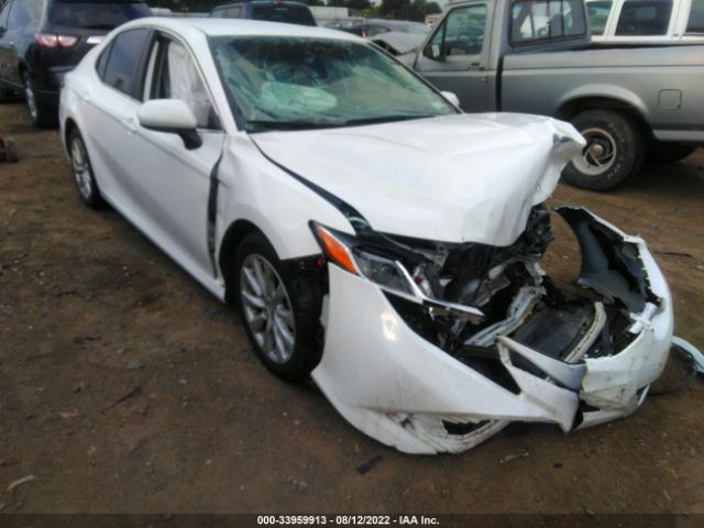 TOYOTA CAMRY 2019 4t1b11hk1ku724594