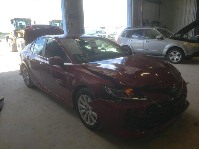 TOYOTA CAMRY L 2019 4t1b11hk1ku731965