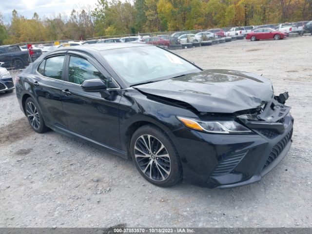 TOYOTA CAMRY 2019 4t1b11hk1ku757272