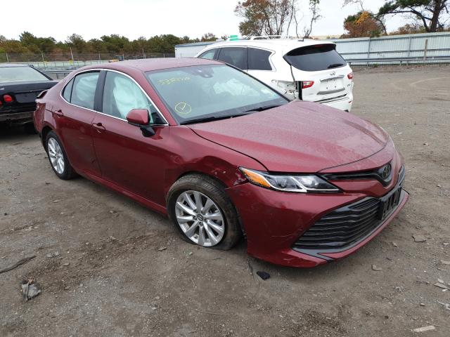 TOYOTA CAMRY L 2019 4t1b11hk1ku815459