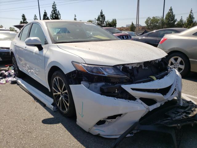 TOYOTA CAMRY L 2019 4t1b11hk1ku853483